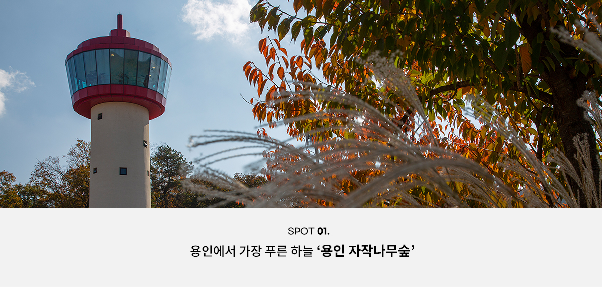 가을 하늘을 담는 방법 | 추천코스 | 추천여행 | 경기관광플랫폼