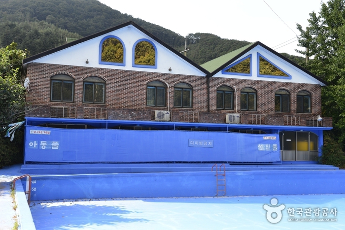 용인 카멜레온 주요 장점 이미지