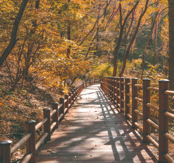 고대산 등산길