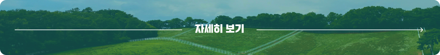 자세히보기