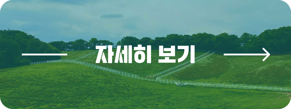 자세히보기