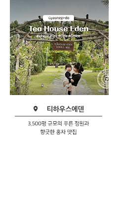 Tea House Eaen 티하우스에덴 - 3,500평 규모의 푸른 정원과 향긋한 홍차 맛집