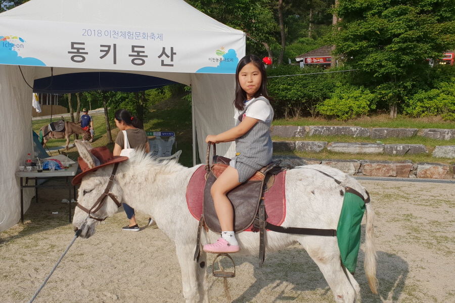 동키동산 | 자녀체험 여행지 | 구석구석 명소 | 추천여행 | 경기관광플랫폼